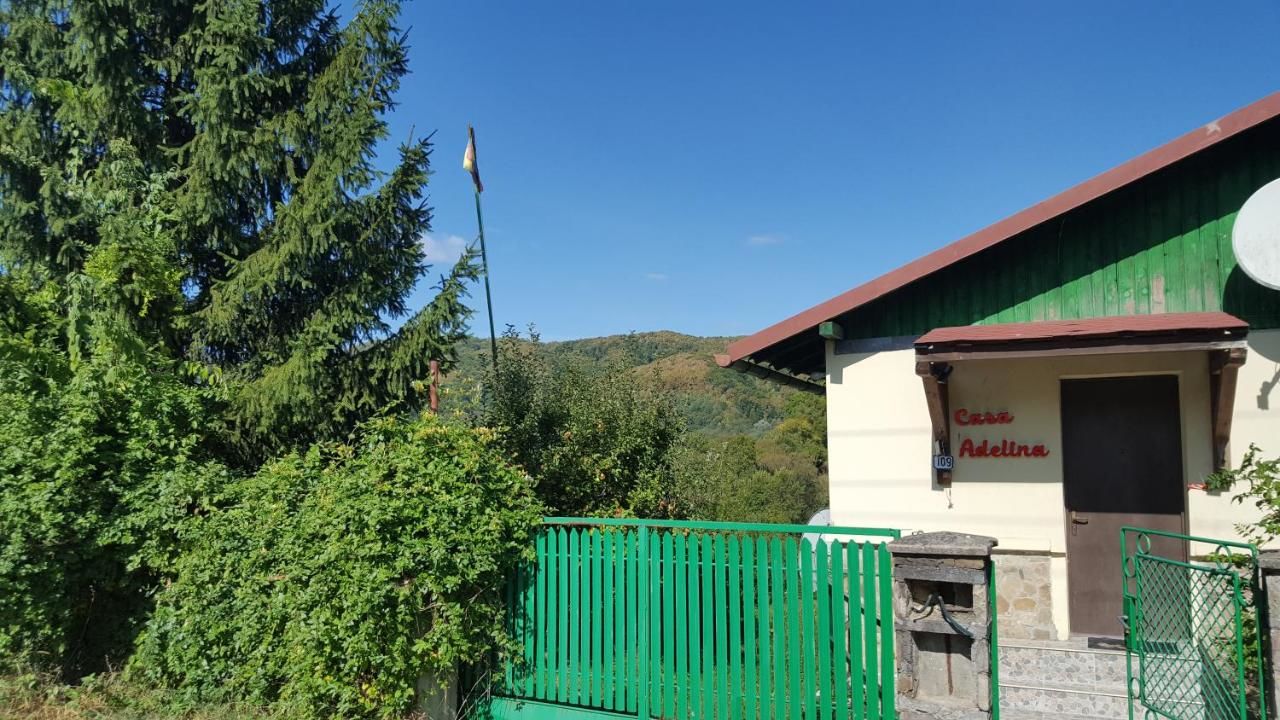 Виллы Casa de vacanta Adelina Valea Lungă-Gorgota-15